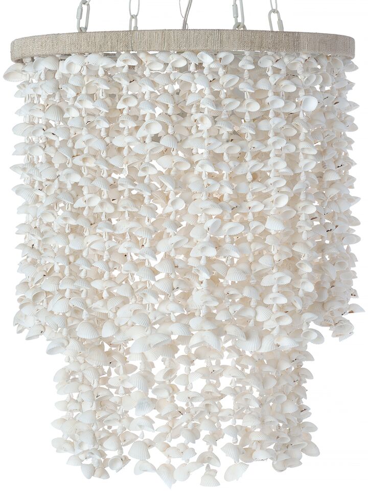 Drum Clamrose Seashell Pendant Lamp - product view 1