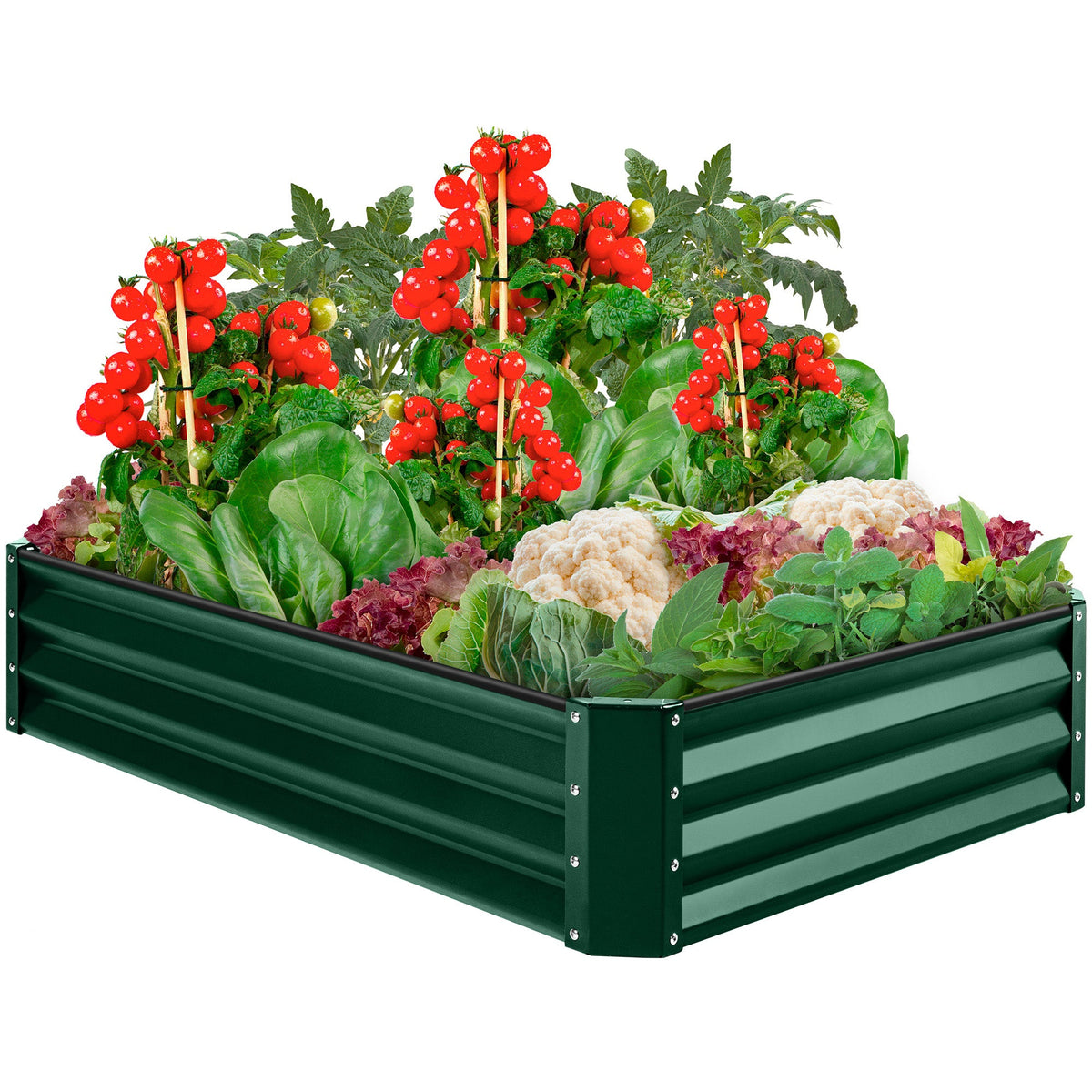 Outdoor Metal Raised Garden Bed for Vegetables, Flowers, Herbs - 6x3x1ft - product view 1