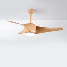 52" Downrod Ceiling Fans with Remote Control and LED Lights - product view 2