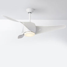 52" Downrod Ceiling Fans with Remote Control and LED Lights - product view 3