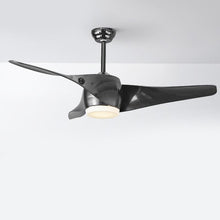 52" Downrod Ceiling Fans with Remote Control and LED Lights - product view 4