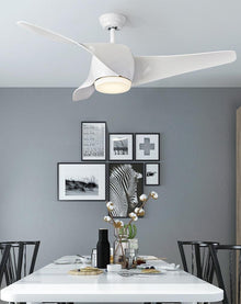 52" Downrod Ceiling Fans with Remote Control and LED Lights - product view 7