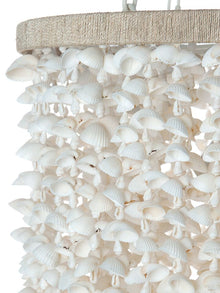 Drum Clamrose Seashell Pendant Lamp - product view 3