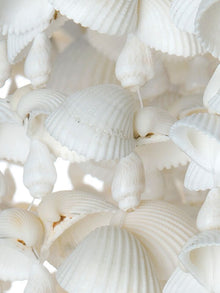 Drum Clamrose Seashell Pendant Lamp - product view 8
