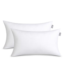 Pillow Inserts