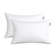 Pillow Inserts