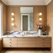 LED Vanity Light Bar Modern Bathroom Mirror Wall Light - product view 3