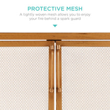 2-Door Wrought Iron Fireplace Screen w/ Magnetic Doors - 38.5x41in - product view 4