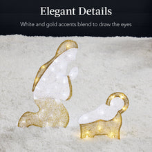 Lighted 2D Christmas Nativity Scene Outdoor Decor w/ Twinkling LED Lights - product view 6
