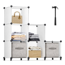 Storage Cube Organizer with 6 Cubes