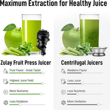 Masticating Juicer - product view 6