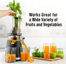 Masticating Juicer - product view 5