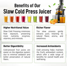 Masticating Juicer - product view 4