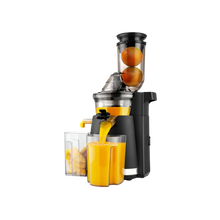 Masticating Juicer - product view 1