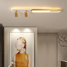 Adjustable Spot Light for Ceiling Metal Modern LED Ceiling Light - product view 8