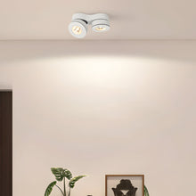 Surface Mount LED Downlights Dual‑head Rotating Folding Ceiling Light - product view 3