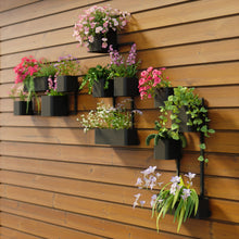 Cubiko Wall Planter - product view 2