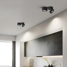 Surface Mount LED Downlights Dual‑head Rotating Folding Ceiling Light - product view 8
