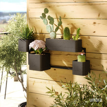 Cubiko Wall Planter - product view 4
