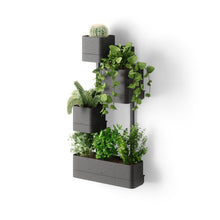 Cubiko Wall Planter - product view 1